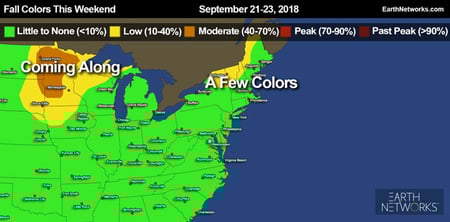 Fall Foliage Update